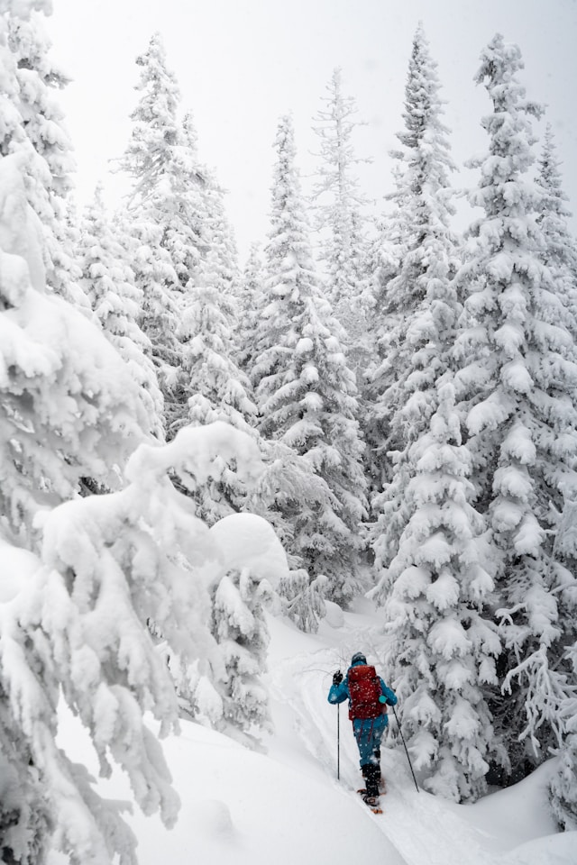 Snowshoeing on a peaceful winter trail in Rocky Mountain National Park